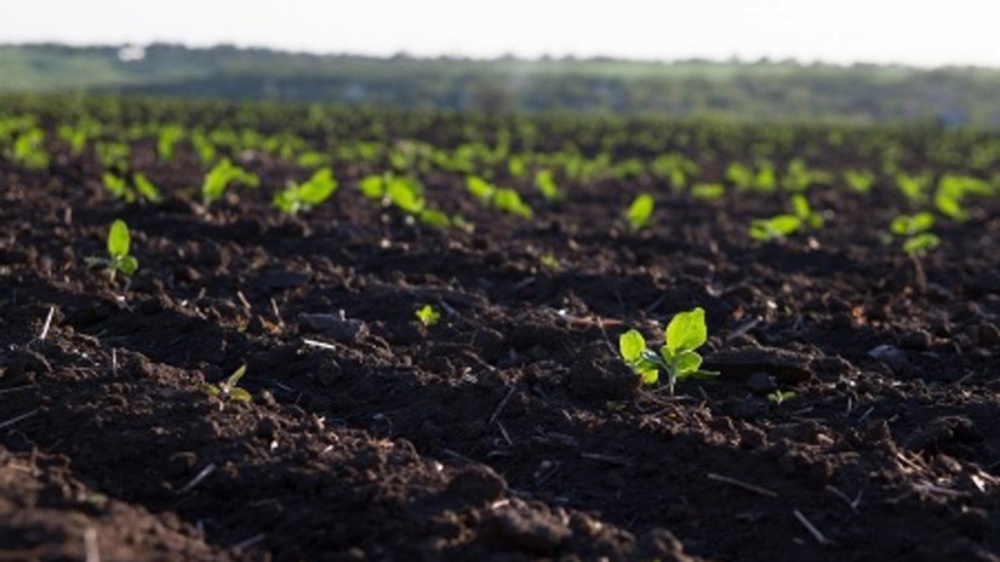 На мониторинг плодородия почв на Кубани в 2022 году выделят 20 млн рублей
