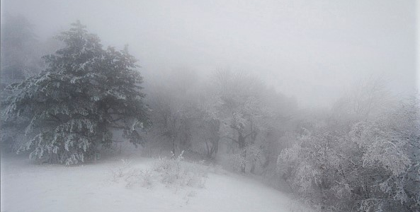 В Сочи объявили штормовое предупреждение из-за сильного снегопада