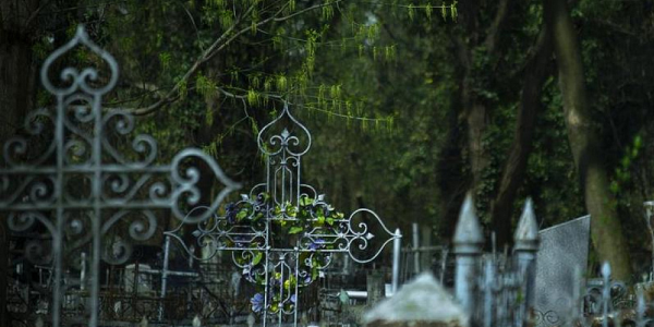 Перед реконструкцией на Всесвятском кладбище Краснодара исследуют захоронения