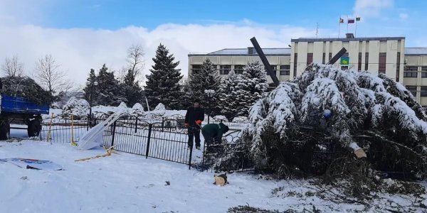 Ветер повалил елку, установленную перед администрацией Мостовского района