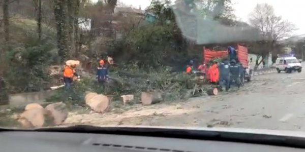 В Туапсинском районе около федеральной трассы сошел оползень