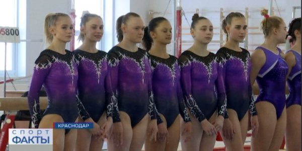 В Краснодаре завершился чемпионат края по спортивной гимнастике