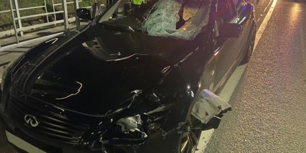 В Сочи водитель иномарки ночью сбил насмерть пешехода