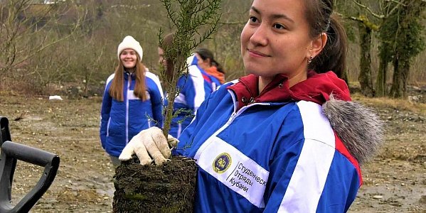 Волонтеры Сочи заложили новую аллею, высадив более 30 кипарисов и гинкго билоба
