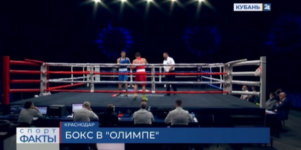В Краснодаре проходит всероссийский турнир по любительскому боксу
