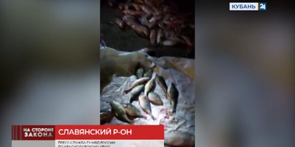 В Славянском районе «черным рыболовам» грозит штраф и до 5 лет лишения свободы