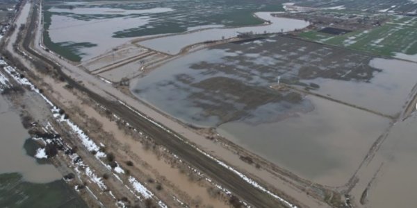 В Абинском районе затоплено около 1,5 тыс. га полей