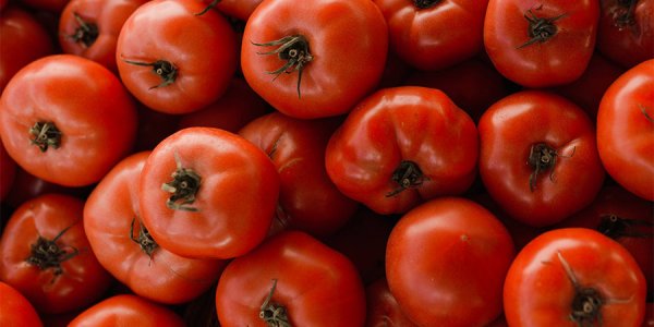 В порту Туапсе в трех партиях томатов нашли вирус мозаики пепино
