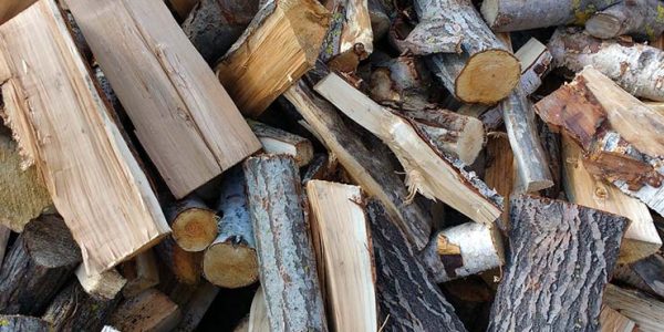 В Туапсинском районе мужчина незаконно спилил на дрова деревья на 2,5 млн рублей