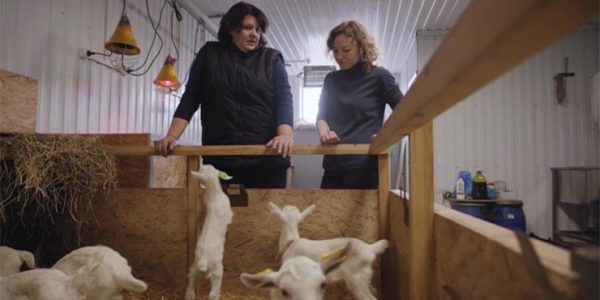 Животновод Мария Плутенко: нужно развивать культуру употребления продукции из козьего молока