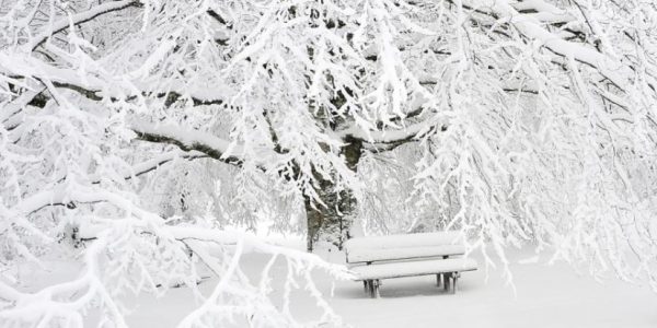 В Сочи объявили штормовое предупреждение из-за сильного снега в горах