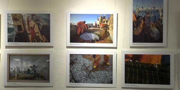 В Краснодаре открылась выставка «Золотой фотообъектив Кубани»