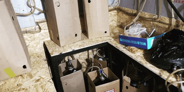 В Краснодаре из бара «Ерш» изъяли 210 литров контрафактного пива