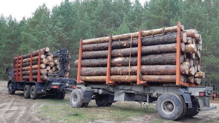На Кубани задержали три фуры, перевозившие бревна хвойных деревьев без документов