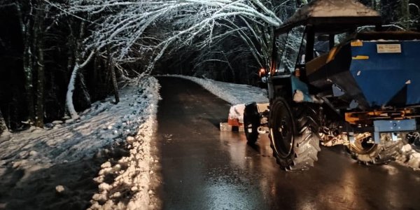 В Сочи на устранение последствий снегопада ночью вышло около 115 единиц техники