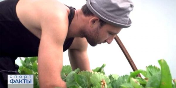 Фермер из Тбилисского района решил угостить кубанских олимпийцев арбузами и тыквами