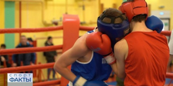 В Сочи 7 февраля стартует краевое первенство по боксу среди юниоров 17-18 лет