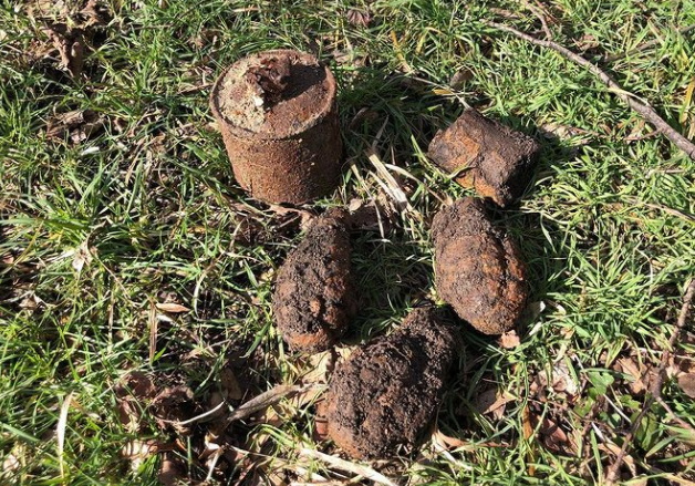 Под Новороссийском в парке поисковики нашли ручные гранаты времен войны
