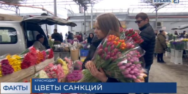 На Кубани не ожидается дефицита цветов в преддверии 8 Марта