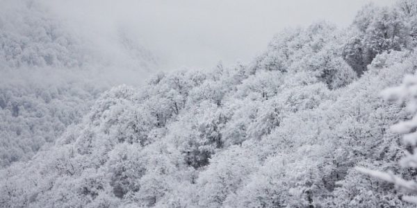 В предгорных районах Сочи 8 марта пройдет сильный снег