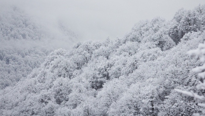 В предгорных районах Сочи 8 марта пройдет сильный снег