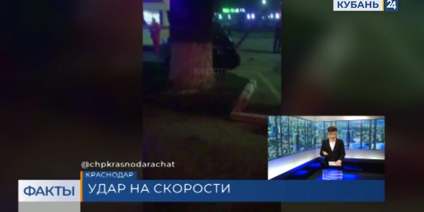 В центре Краснодара иномарка ночью снесла два дерева и дорожный знак