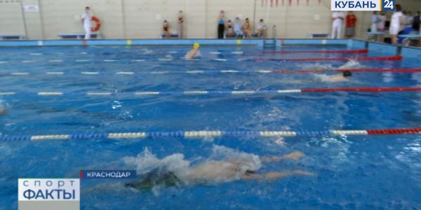Сборная Кубани по плаванию готовится к чемпионату и первенству ЮФО на длинной воде