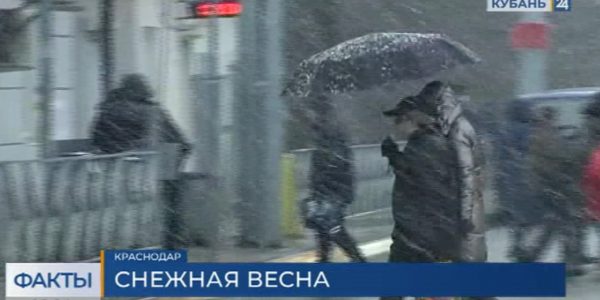 Синоптики: снег в Краснодаре будет идти до конца недели