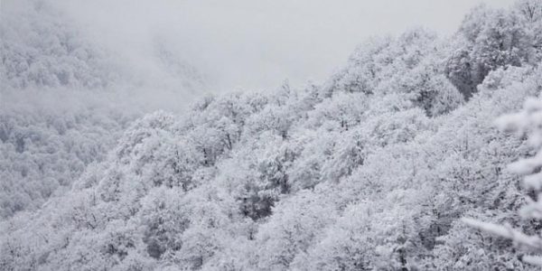 В Краснодаре и Сочи 18 марта ожидается снег и гололедица