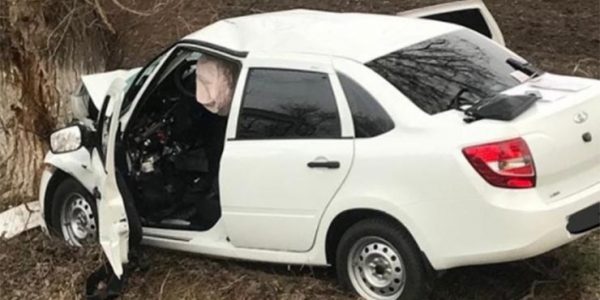 В Краснодарском крае водитель Lada Granta врезался в дерево и погиб