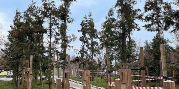 Соцсети: в парке «Краснодар» заморозили строительство одного из крупнейших в мире японского сада