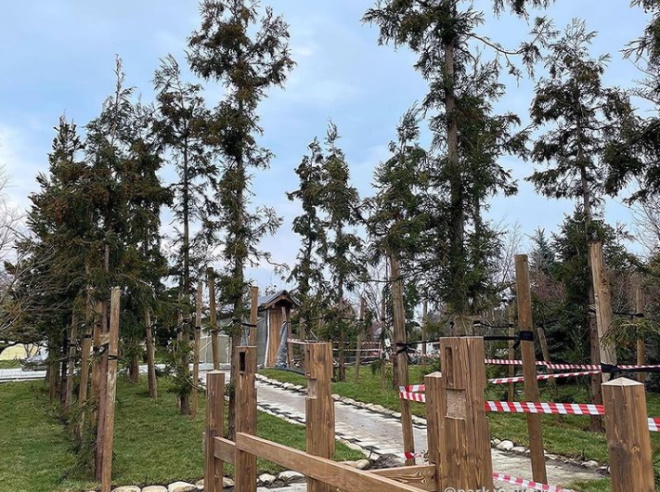 Соцсети: в парке «Краснодар» заморозили строительство одного из крупнейших в мире японского сада