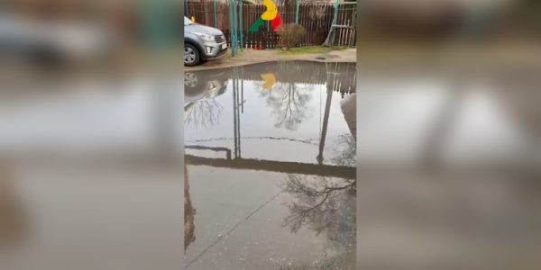 Стоки из аварийной канализации два месяца заливают двор дома в центре Краснодара