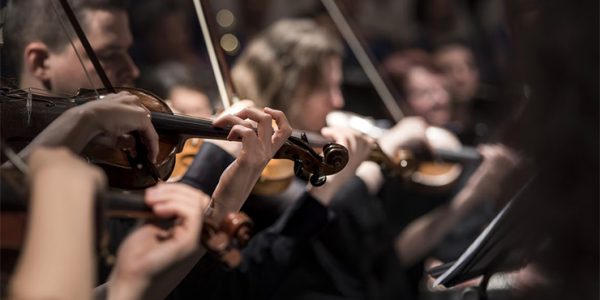 Музыкальный фестиваль в Сочи получил самый большой грант Фонда культурных инициатив