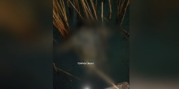 В лимане Темрюкского района нашли тела отца и сына, пропавших на охоте