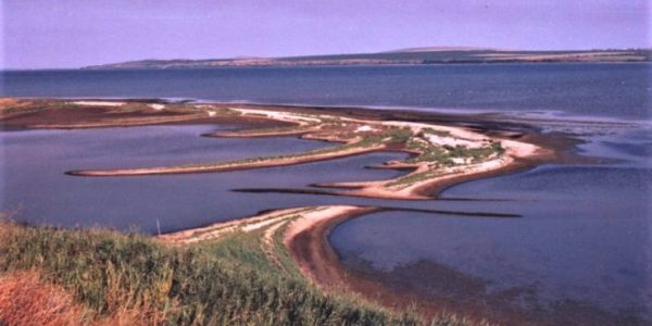Соленые озера в Приморско-Ахтарске стали особо охраняемой природной территорией