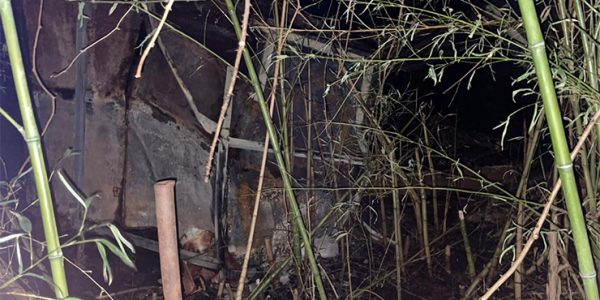 В лесу Туапсинского района во время пожара в хозпостройке погиб мужчина
