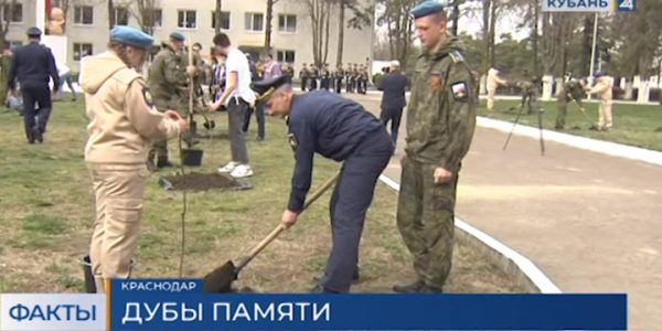 В Краснодаре высадили дубы в честь подвига военного летчика Алексея Маресьева
