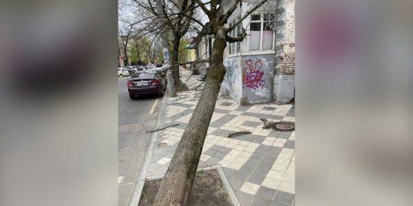 В центре Краснодара из-за ураганного ветра на женщину упал рекламный щит