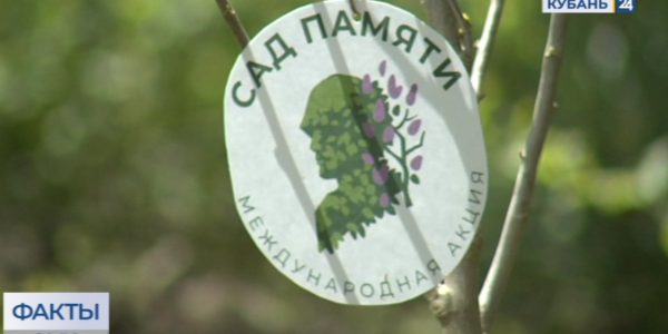 Эколого-биологический центр Краснодара присоединился к акции «Сад памяти»