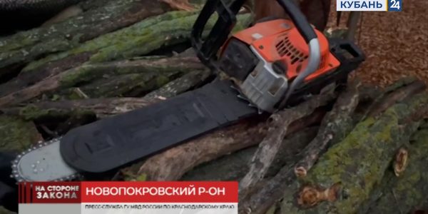 В Краснодарском крае мужчина спилил акации на 200 тыс. рублей