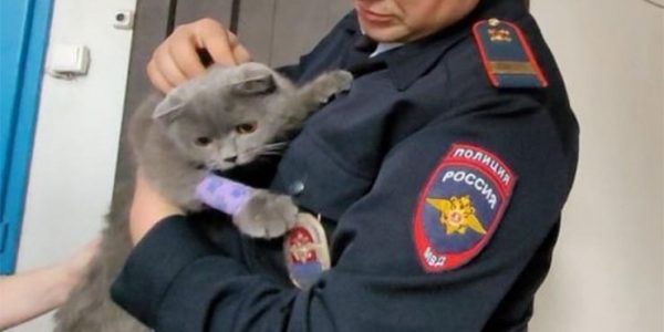 В Краснодарском крае полицейские во время пожара спасли из многоэтажки кота
