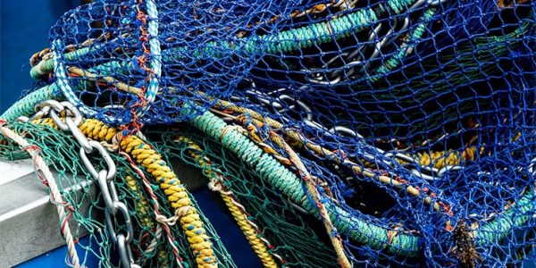 В Краснодарском крае два «черных рыболова» наловили креветок на 4 млн рублей