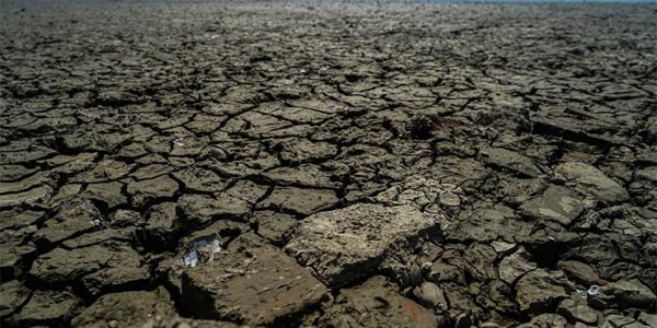 В Краснодарском крае в 2022 году не прогнозируют сильной засухи