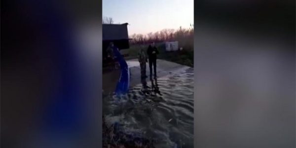 В Новопокровском районе в реку выпустили две тонны мальков