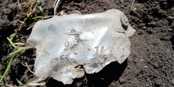 В Краснодарском крае поисковики обнаружили место падения дальнего бомбардировщика