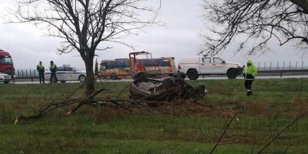 В Краснодарском крае иномарка влетела в дерево, погибли 2 человека