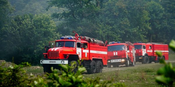 В Сочи с 1 мая введут особый противопожарный режим