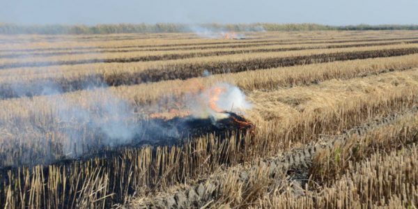 В Краснодаре местные жители заметили черный пепел в воздухе