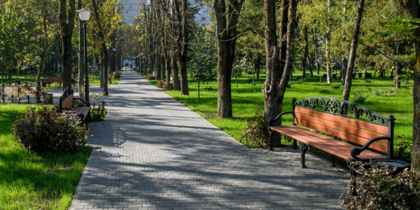 В Краснодаре создали раздел с проектами зеленых зон, вынесенных на голосование для благоустройства